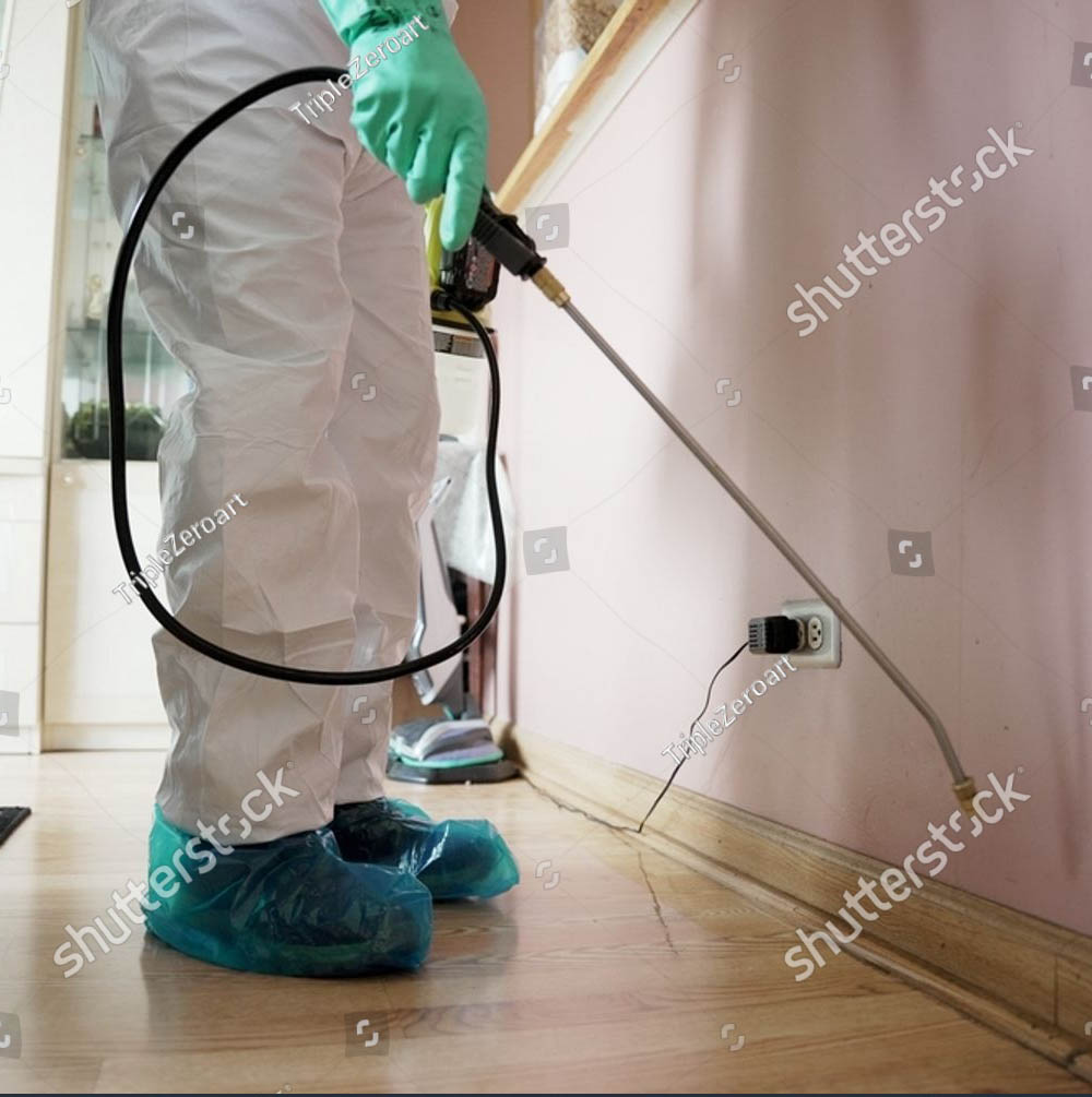 stock-photo-professional-pest-control-technician-in-full-protective-suit-applying-safe-extermination-methods-2593243711
